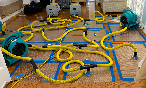 Professional Water Damage Repair technician working in Harmony, ME